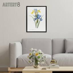 "Artery8 Spanish iris Botanical Redoute Vintage Black Framed Canvas Wall Art in White - Size: W12"" x H16""" - thumbnail 3
