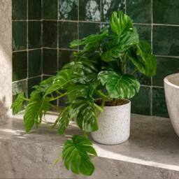 Leaf 30cm Artificial Green Potted Monstera Trailing Plant Premium - thumbnail 1
