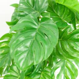 Leaf 30cm Artificial Green Potted Monstera Trailing Plant Premium - thumbnail 2