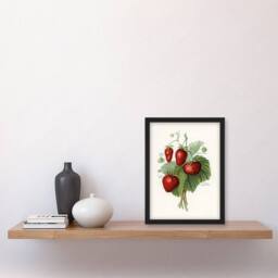 Artery8 John Wright Framed Wall Art Vintage Fruit Illustration of Strawberries in White - Size: A4 - thumbnail 2