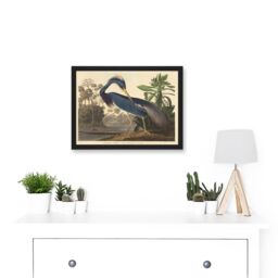 Artery8 Painting Bird Audubon Louisiana Heron Artwork Framed Wall Art Print A4 in Black - thumbnail 2
