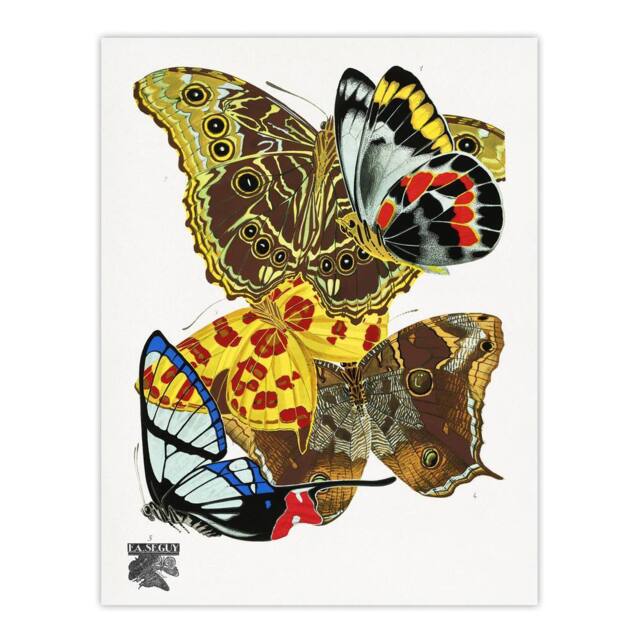 "Artery8 Papillons Bright Vintage Butterflies Wall Art Print Eugene Seguy - Size: W18"" x H24""" - image 1