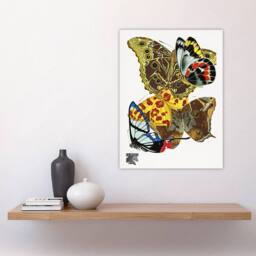"Artery8 Papillons Bright Vintage Butterflies Wall Art Print Eugene Seguy - Size: W18"" x H24""" - thumbnail 4