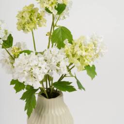 Scottish Everlastings Ltd 50cm Green & White (Snowball) Arrangement - thumbnail 2