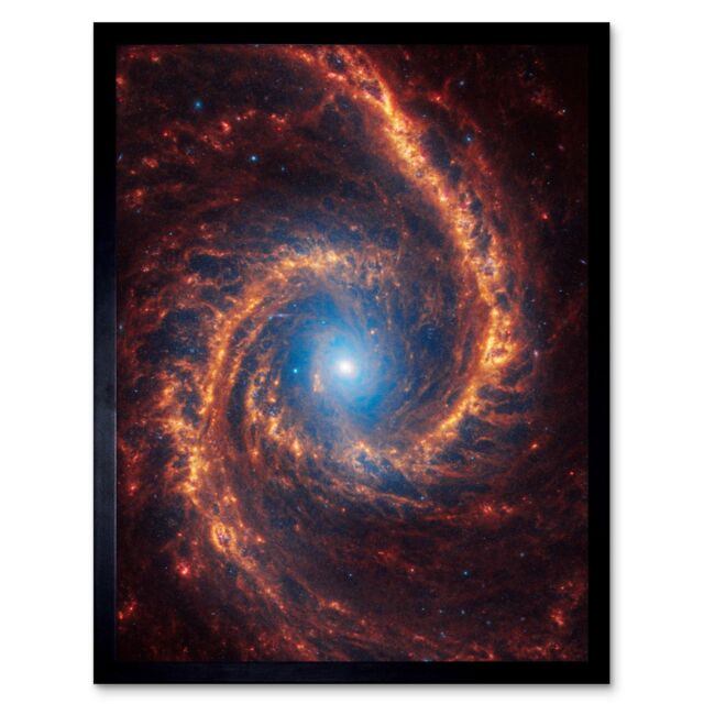 "Artery8 NASA James Webb Telescope Spiral Galaxy NGC 1566 Framed Wall Art 12x16 in Black - Size: W12"" x H16""" - image 1