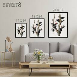 "Artery8 Ivory Billed Woodpecker Audubon Nature Black Framed Canvas Wall Art in White - Size: W12"" x H16""" - thumbnail 4