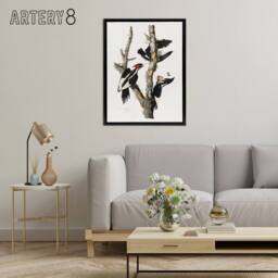 "Artery8 Ivory Billed Woodpecker Audubon Nature Black Framed Canvas Wall Art in White - Size: W12"" x H16""" - thumbnail 3