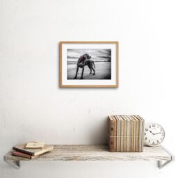 "Artery8 Wall Art Print Weimaraner Dog Beach BW Framed in Beige - Size: W7"" x H9""" - thumbnail 2