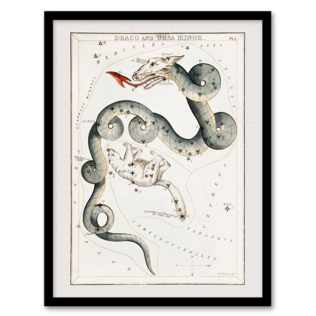 Artery8 Draco & Ursa Minor Constellation Hall Framed Wall Art Print in White - Size: A4 - image 1