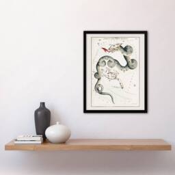 Artery8 Draco & Ursa Minor Constellation Hall Framed Wall Art Print in White - Size: A4 - thumbnail 4