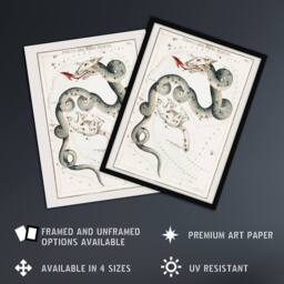 Artery8 Draco & Ursa Minor Constellation Hall Framed Wall Art Print in White - Size: A4 - thumbnail 2