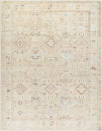 Livabliss Becki Owens Marlene-Vintage Brown Ivory Traditional Boho Living Dining Rug - Size: 117 cm x 170 cm - thumbnail 2