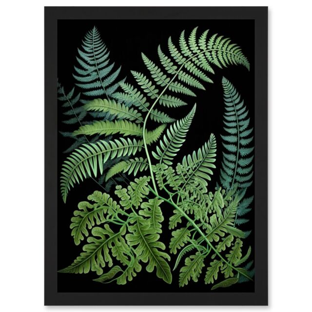 Artery8 Fern Fronds Ernst Haeckel Style Dark Illustration Artwork Framed Wall Art Print A4 in Black - image 1