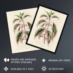 "Artery8 Vintage Botanical Rose Mallow Fawcett Wall Art Poster Print in Beige - Size: W24"" x H32""" - thumbnail 2