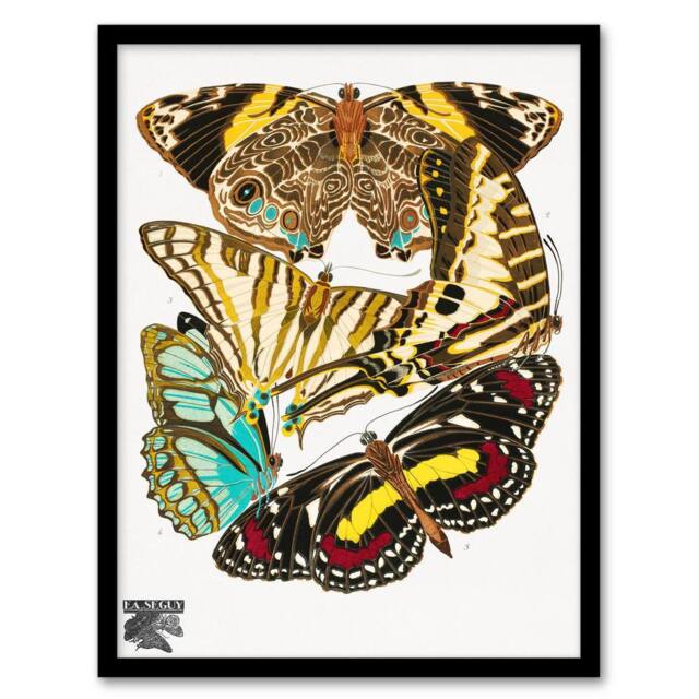 Artery8 Eugene Seguy Framed Wall Art Print Papillons Butterflies Vintage - Size: A4 - image 1