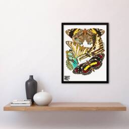 Artery8 Eugene Seguy Framed Wall Art Print Papillons Butterflies Vintage - Size: A4 - thumbnail 2