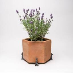 Jardinopia Small Brushed Silver Hare Plant Pot Feet - Set of 3 - thumbnail 3
