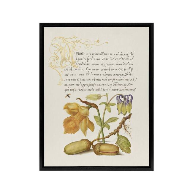 "Artery8 Daffodil Flower & Oak Acorns Calligraphy Framed Canvas Wall Art in Beige - Size: W24"" x H32""" - image 1