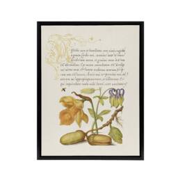 "Artery8 Daffodil Flower & Oak Acorns Calligraphy Framed Canvas Wall Art in Beige - Size: W24"" x H32""" - thumbnail 1