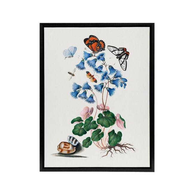 "Artery8 Soldanella Flower & Butterflies Bolton Black Framed Canvas Wall Art in White - Size: W12"" x H16""" - image 1