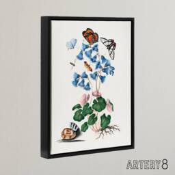 "Artery8 Soldanella Flower & Butterflies Bolton Black Framed Canvas Wall Art in White - Size: W12"" x H16""" - thumbnail 2