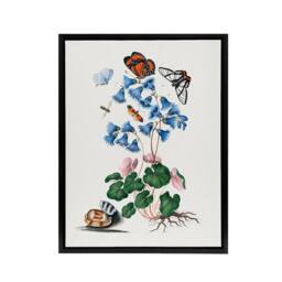 "Artery8 Soldanella Flower & Butterflies Bolton Black Framed Canvas Wall Art in White - Size: W12"" x H16""" - thumbnail 1