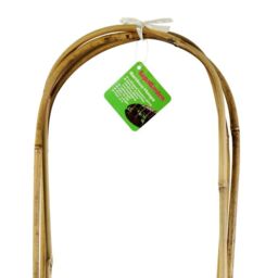SupaGarden U-Shaped Bamboo Canes (Pack Of 3) in Cream