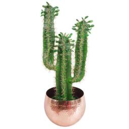 Leaf Large Metal Planter 22 x 18cm Hammered Copper Colour - Straight Edge - Size: 22 x 18 cm - thumbnail 2