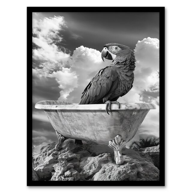 Artery8 Macaw Parrot Bird on Bathtub Black White Surreal Framed Art Print in Grey - Size: A4 - image 1