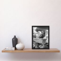 Artery8 Macaw Parrot Bird on Bathtub Black White Surreal Framed Art Print in Grey - Size: A4 - thumbnail 4