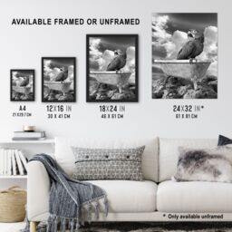 Artery8 Macaw Parrot Bird on Bathtub Black White Surreal Framed Art Print in Grey - Size: A4 - thumbnail 3