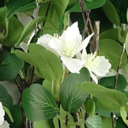 Leaf Pack of 6 x 60cm Flower Foliage Spray - White - Size: 6 x 60 cm - thumbnail 6