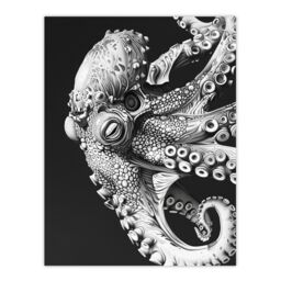 "Artery8 Octopus Black White Drawing Ernst Haeckel Style Wall Art Print in Grey - Size: W24"" x H32""" - thumbnail 1
