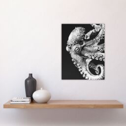 "Artery8 Octopus Black White Drawing Ernst Haeckel Style Wall Art Print in Grey - Size: W24"" x H32""" - thumbnail 4