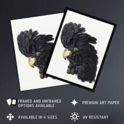"Artery8 Head of a Black Cockatoo Watercolour Schouman Wall Art Poster Print in White - Size: W12"" x H16""" - thumbnail 2