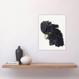 "Artery8 Head of a Black Cockatoo Watercolour Schouman Wall Art Poster Print in White - Size: W12"" x H16""" - thumbnail 4