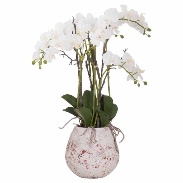 Lemon Pavilion Furniture and Decor Large Stone Potted Orchid w/ Root Artificial Flower, L60 x W60 x H76cm in White - image 1