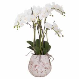 Lemon Pavilion Furniture and Decor Large Stone Potted Orchid w/ Root Artificial Flower, L60 x W60 x H76cm in White