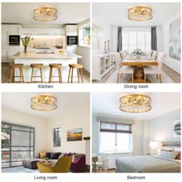 Garwarm 4 Lights Caged Ceiling Fan with Lights Gold - thumbnail 8