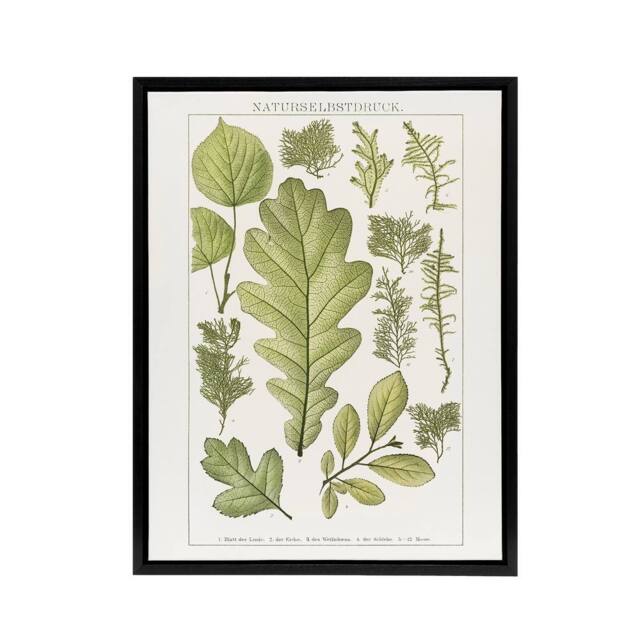 "Artery8 Plant Lover Leaves Brockhaus Lexikon Black Framed Canvas Wall Art in White - Size: W12"" x H16""" - image 1