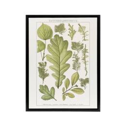 "Artery8 Plant Lover Leaves Brockhaus Lexikon Black Framed Canvas Wall Art in White - Size: W12"" x H16""" - thumbnail 1