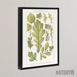 "Artery8 Plant Lover Leaves Brockhaus Lexikon Black Framed Canvas Wall Art in White - Size: W12"" x H16""" - thumbnail 2