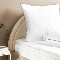 Wyld and Coco Pillow White Japara Cotton Cover Hypoallergenic Microfibre Fill
