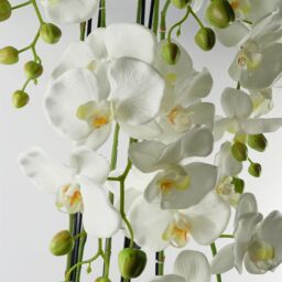 Leaf 110cm Large White Orchid Plant - Artifcial - 41 REAL TOUCH flowers in Green - thumbnail 2