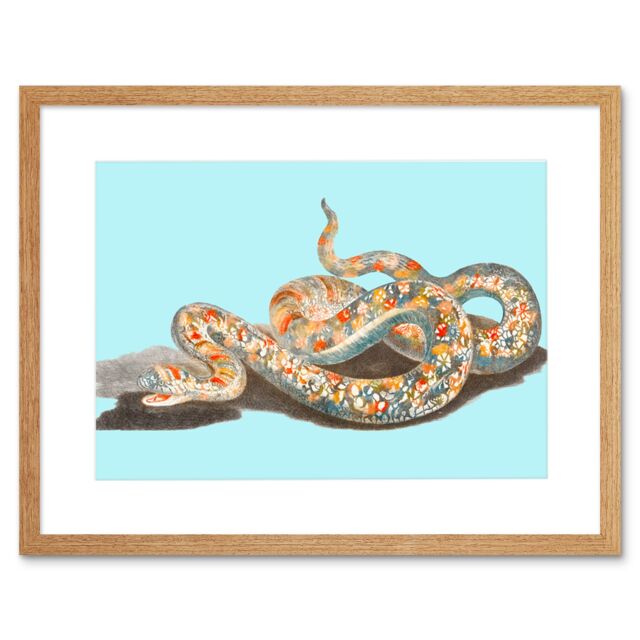 "Artery8 Wall Art Print Colourful Snake Johan Teyler Art Black Framed 9x7 inch in Beige - Size: W7"" x H9""" - image 1