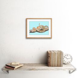 "Artery8 Wall Art Print Colourful Snake Johan Teyler Art Black Framed 9x7 inch in Beige - Size: W7"" x H9""" - thumbnail 2