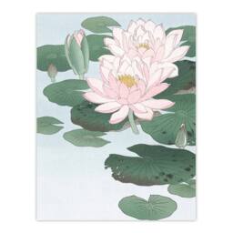 "Artery8 Water Lily Pads Pink Flower Bloom Japanese Wall Art Print Koson - Size: W12"" x H16""" - thumbnail 1