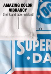 Superman Day 2025 Logo Silky Touch Super Soft Throw Blanket 152 X 127 cm in White - thumbnail 4