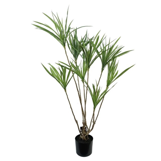 Leaf 125cm Dragon Tree Dracaena Plant Natural Look Artificial in Green - image 1