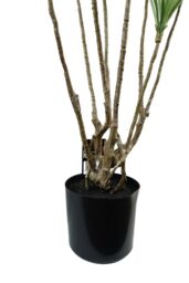 Leaf 125cm Dragon Tree Dracaena Plant Natural Look Artificial in Green - thumbnail 5